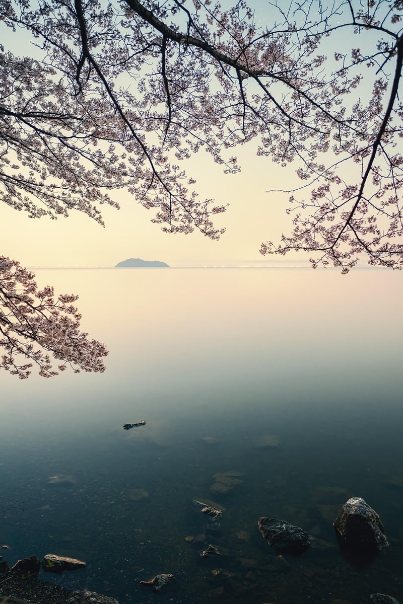 Lakeside Serenity